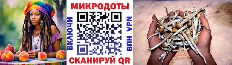 Галлюциногенные грибы Psilocybine cubensis  это какой сайт  Мосальск 