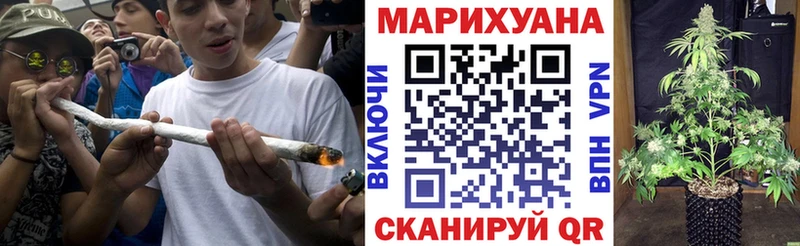 Марихуана сатива  Мосальск 